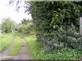 TM4358 : Sloe Lane Bridleway to the B1069 Snape Road by Geographer