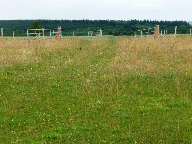 Four gates in the middle of a field