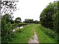 N6031 : Grand Canal in Rathmore near Edenderry, Co. Offaly by JP
