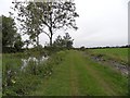 N5632 : Grand Canal in Ballybrittan, Co. Offaly by JP