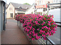 Floral display in Leg street