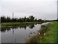 N5431 : Grand Canal in Rathcobican, Co. Offaly by JP