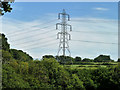 Pylon south of Kirdford