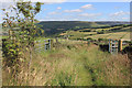 Quarry Lane, near High Moor