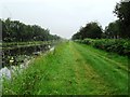 N4929 : Grand Canal in Gorteen, Co. Offaly by JP