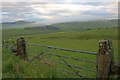 Gate into Field near Kiln Burn