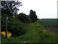 TM4059 : Footpath to the A1094 Aldeburgh Road by Geographer