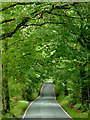 Sarn Helen south of Stags Head, Ceredigion