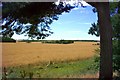 Farmland near Scutchamer Knob