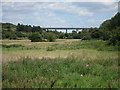 Fields at Cuxton