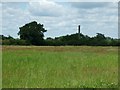 Disguised communication mast north of Hassocks