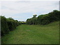 Footpath to Bishop Middleham in green lane