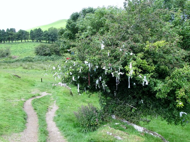 Path leading from Loughcrew to the car park past the Wishing Tree