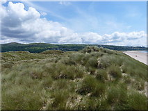SH5632 : Harlech dunes - looking south by Richard Law