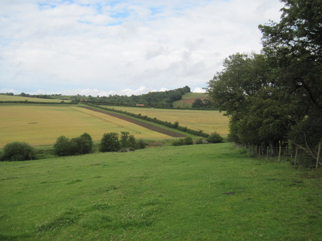 Footpath through the Countryside © Martin Dawes :: Geograph Britain and ...