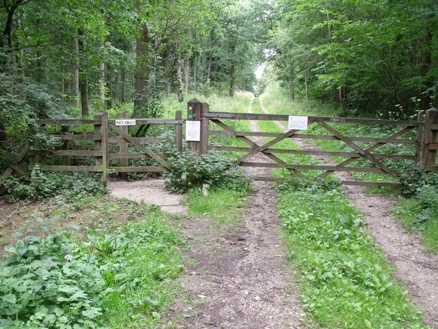 Entrance to Potterhanworth Wood © J.Hannan-Briggs :: Geograph Britain ...
