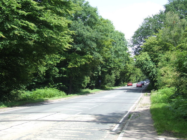 Epping New Road, Epping Forest
