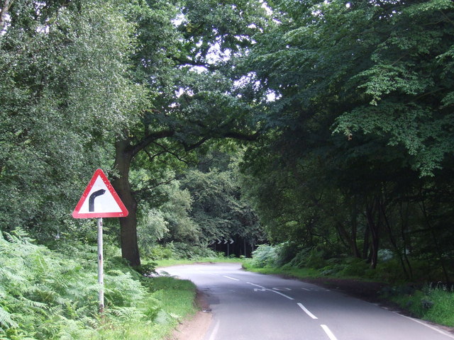 Bend in the road, Epping Forest