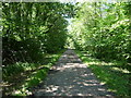 Track in the Sirhowy Valley Country Park