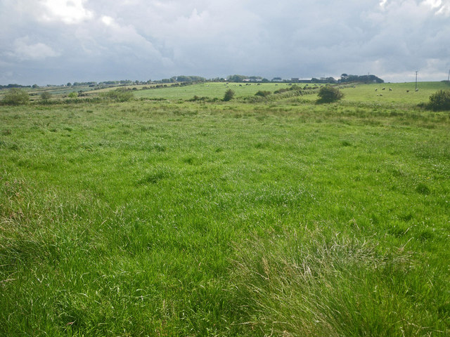 Endless grassland south of Inishcrone © C Michael Hogan :: Geograph ...