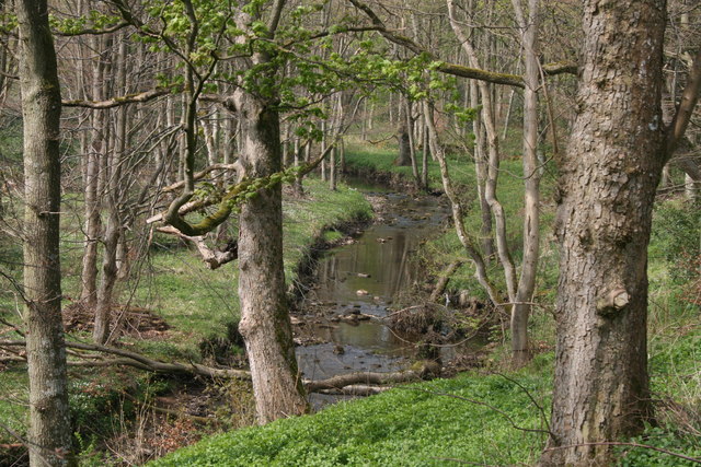 River Wansbeck