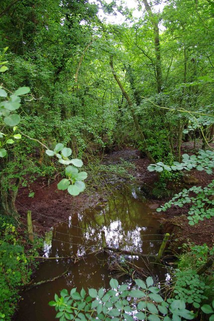 Hockley Brook looking southwest, near... © P L Chadwick cc-by-sa/2.0 ...