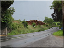 N5676 : Lumber stockpile at Loughcrew by Eric Jones