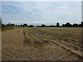 Harvested field at Elvaston