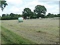 Making hay at Batchelors Farm