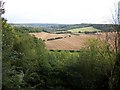 Recent harvest at Manor Farm