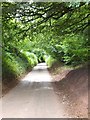 Dorweeke Cross: the road south to Queensborough Farm