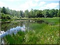 Orchardton Pond