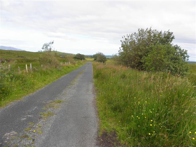 Road at Drumnacross