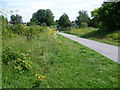 Addiscombe Railway Park