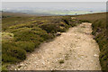 SD5647 : Estate Track on Hazelhurst Fell by Tom Richardson