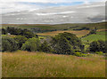 View Towards Horest Farm