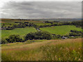 View Towards Horest Lane