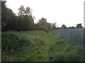 Footpath alongside the railway