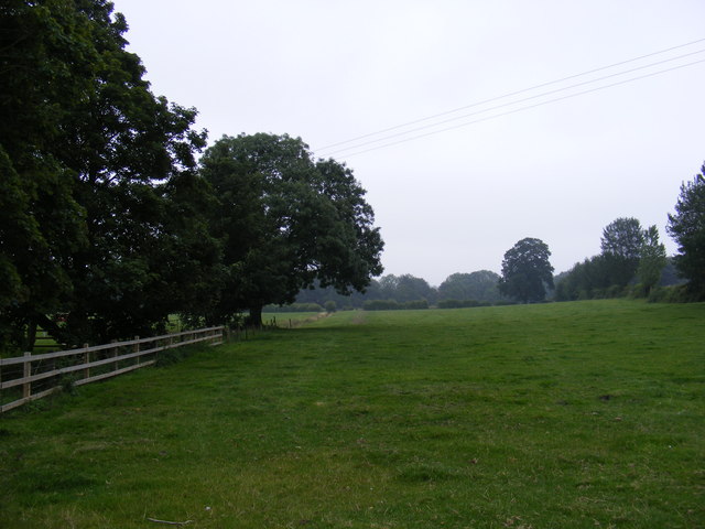 Footpath to The Grove