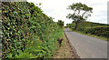 The Ballyrussell Road near Dundonald