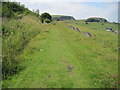 Footpath towards Harpur Hill near Hillhead Quarry