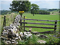 Footpath from Staden towards Cowdale