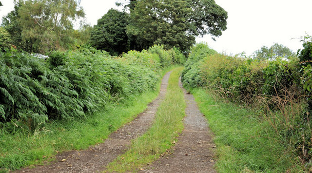 Lane near Dundonald