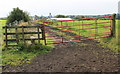 Little Lees Farm from the Oldham Way footpath