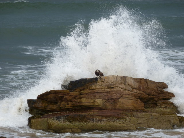 Dornoch: a rock is hit by a wave