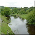 Afon Teifi south-west of Tregaron, Ceredigion