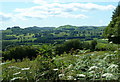SO0260 : Mid Wales landscape on a summer afternoon by Andrew Hill