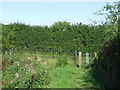 Footpath gate near Epping