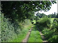 Track in the countryside near Epping