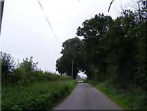 TG0822 : Road near Hackford Hall by Geographer